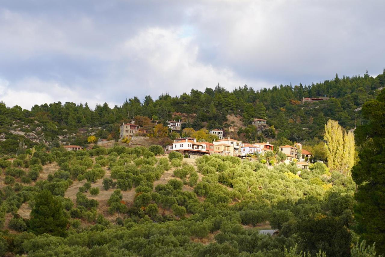 Alterra Vita Eco Villas Neos Marmaras Exterior photo